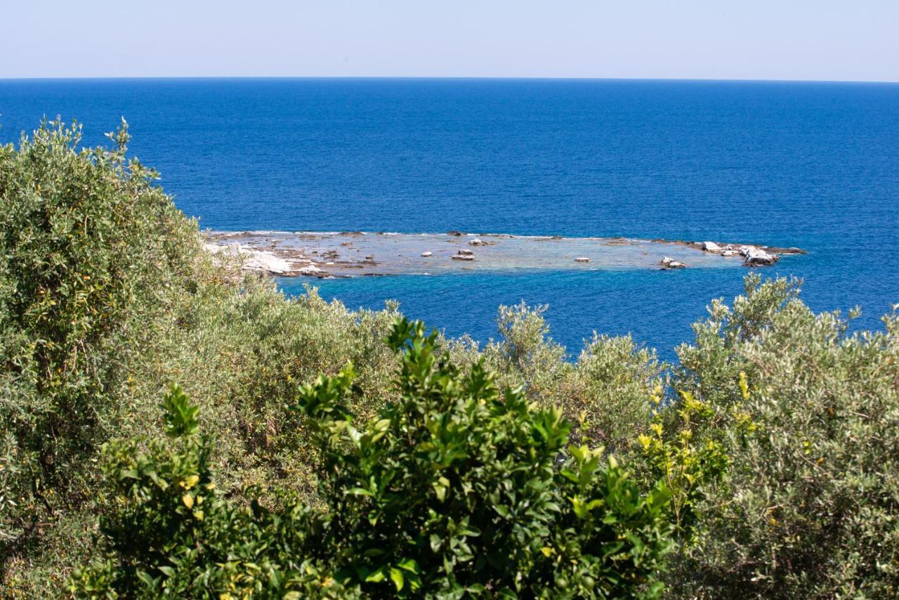 Archodissa Villa Thimonia Esterno foto