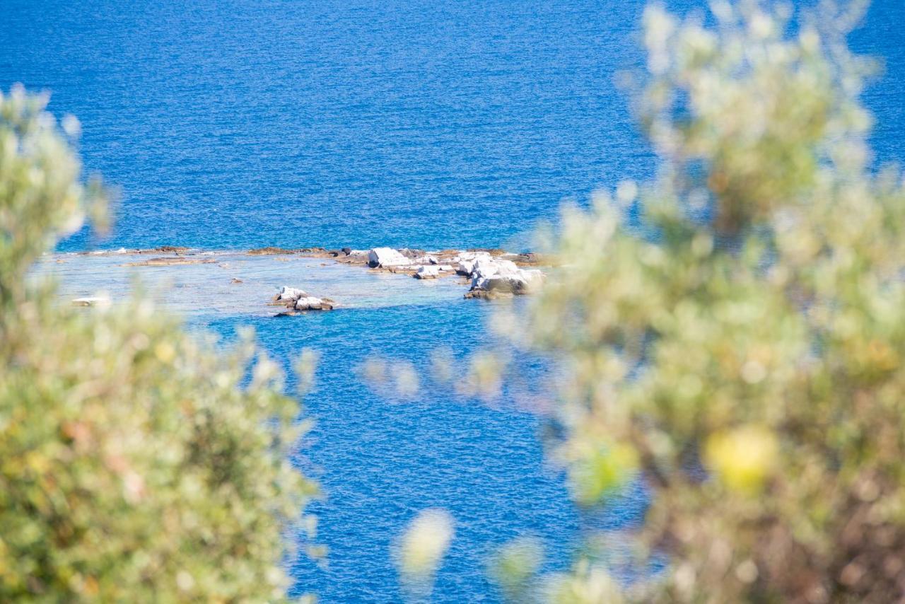 Archodissa Villa Thimonia Esterno foto